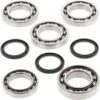 All Balls Differential Bearing And Seal Kit -Motorcycle Supplies Store AB25 2077